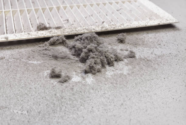 Best Affordable HVAC Duct Cleaning  in Shelby, OH
