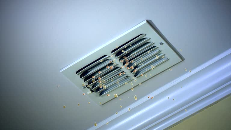 Best Home Air Vent Cleaning  in Shelby, OH