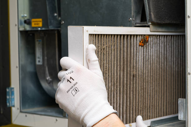 Best Air Vent Cleaning Services  in Shelby, OH